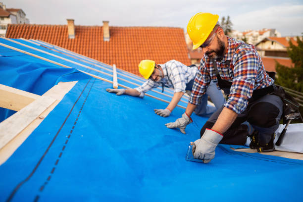Best Roof Waterproofing Services  in Waukegan, IL