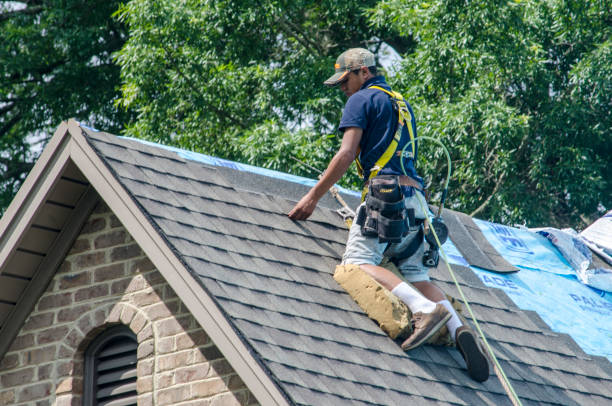 Quick and Trustworthy Emergency Roof Repair Services in Waukegan, IL